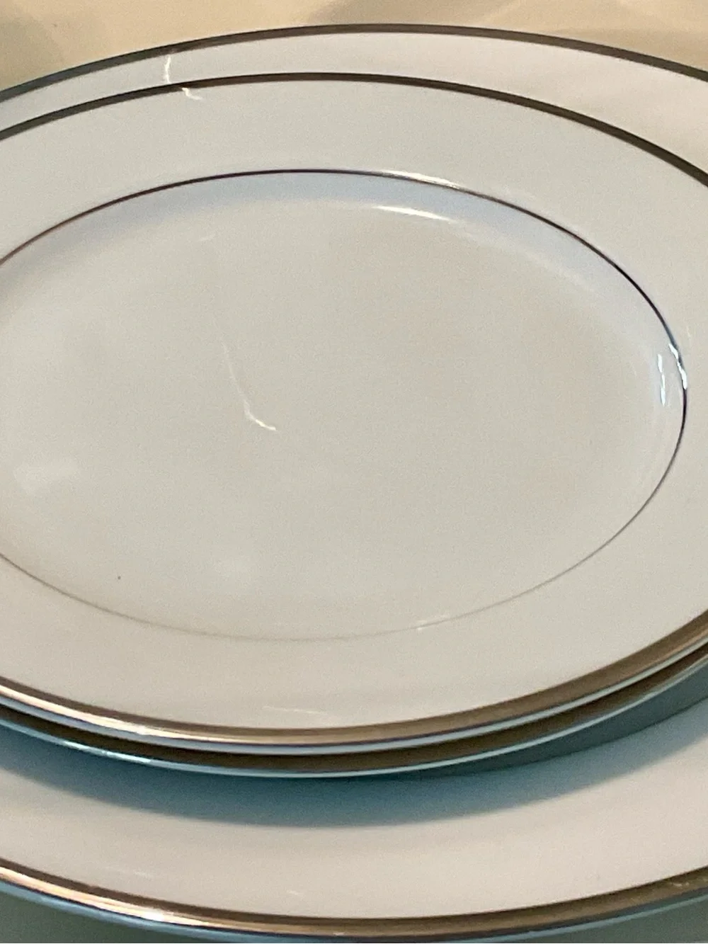 NEW! Nikko Brand Patra “Band of Platinum” – Complete 6‑Place China Setting